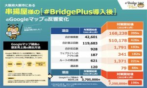 BridgePlus Manual