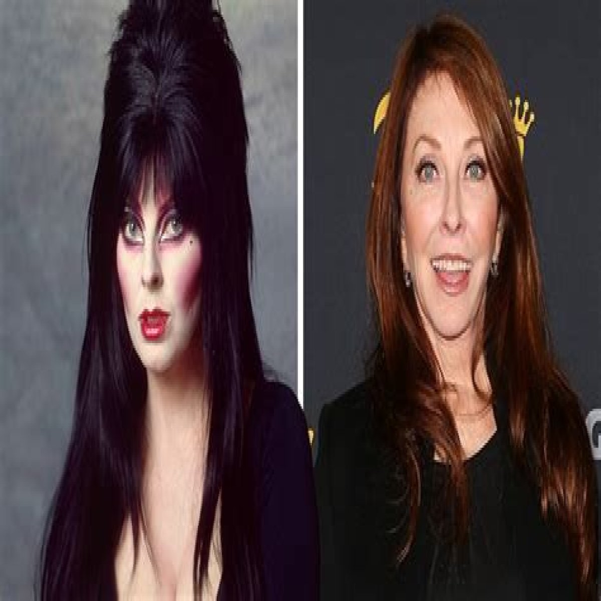 Cassandra Peterson Then and Now — Meet the Actress Who Played Elvira, Mistress of the Dark