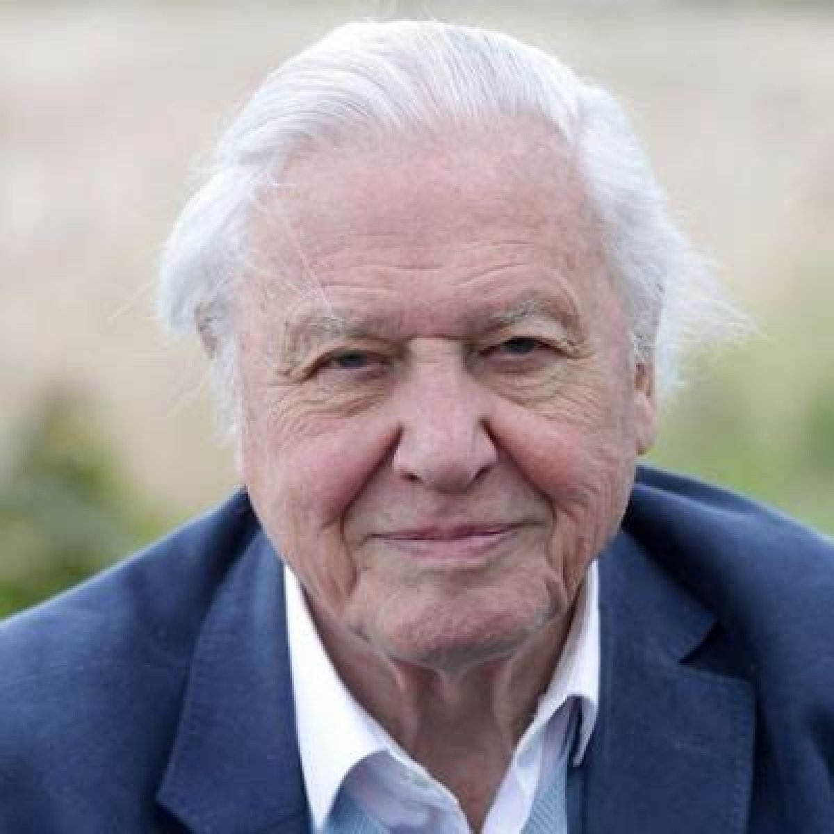 David Attenborough Net Worth - Wiki, Age, Weight and Height, Relationships, Family, and More