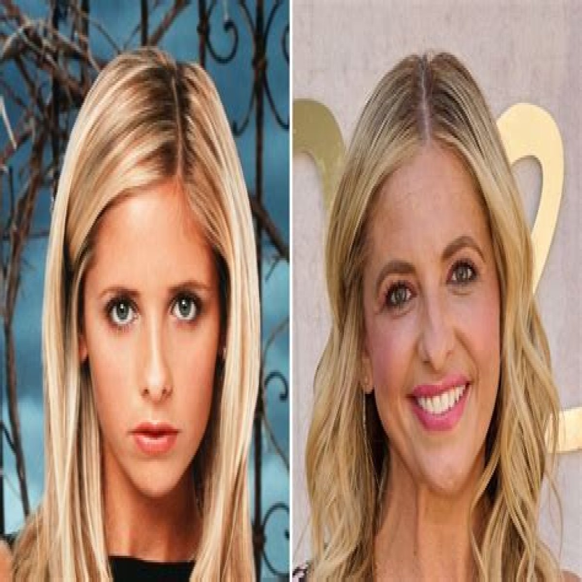 Did Sarah Michelle Gellar Get Plastic Surgery, Sarah Michelle Gellar Then And Now