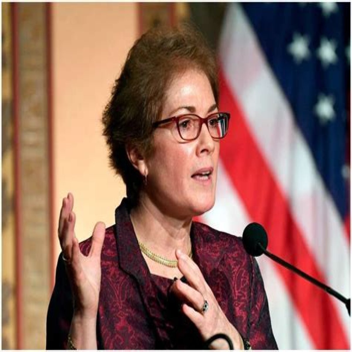 Marie Yovanovitch Bio, Age, Height, Husband, Net Worth