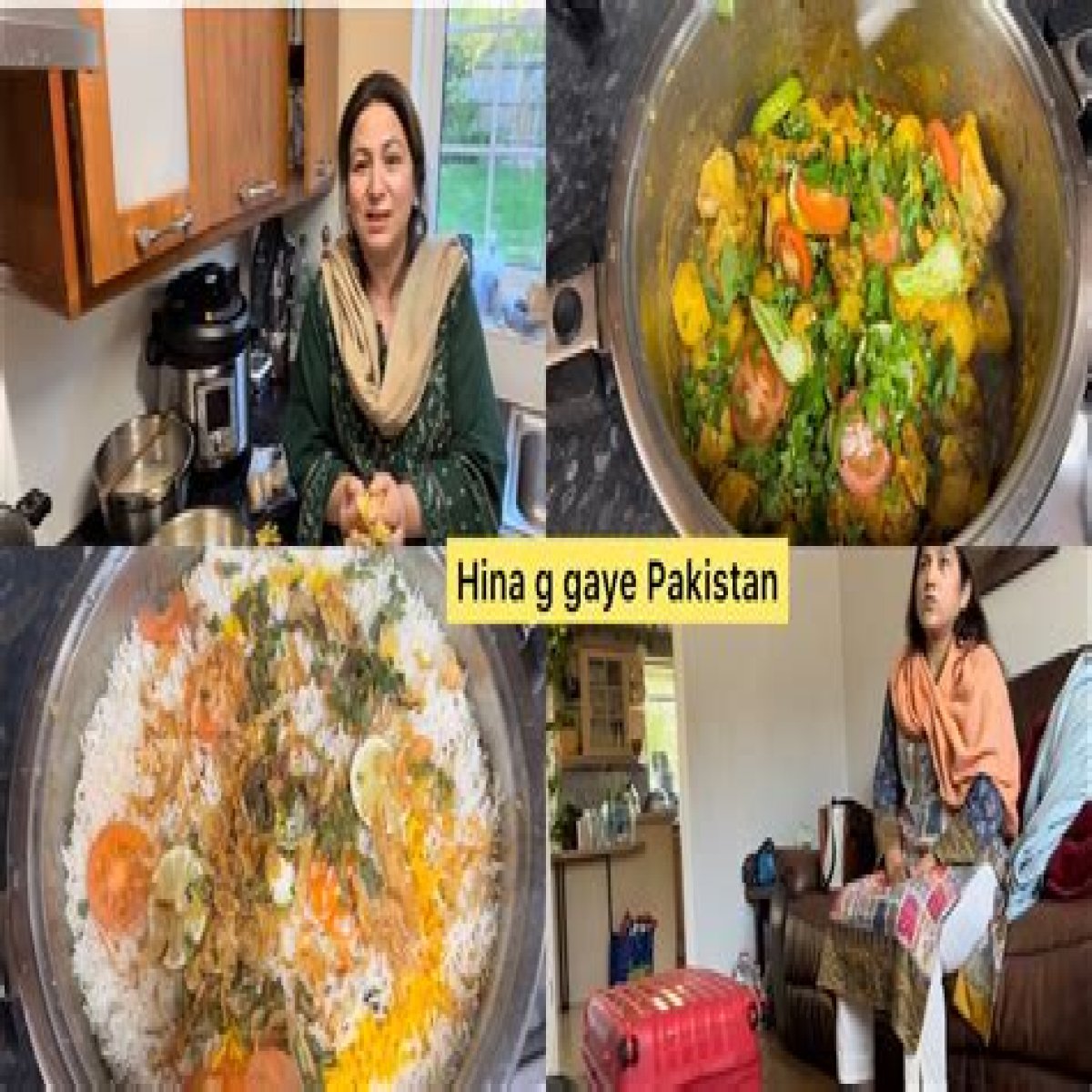 Pulwasha Cooks official Youtuber overview